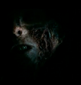 Thumbnail for version as of 15:14, April 6, 2010