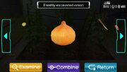 Onion.Garden