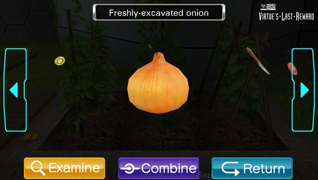 File:Onion.Garden.jpg