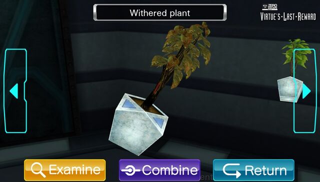 File:WitheredPlant.TreatmentCenter.jpg