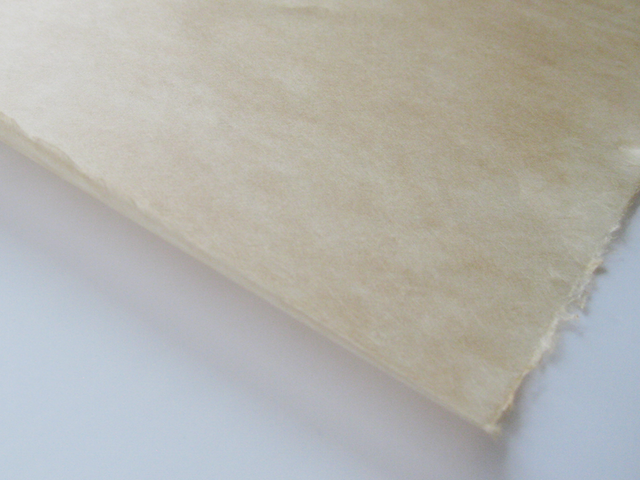 File:T7 1024x1024.png