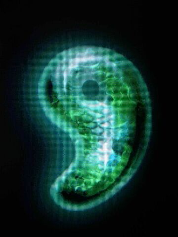 File:The dragon's eye.jpg