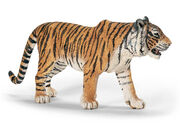 'The Wise Tiger'-Indiana(India)