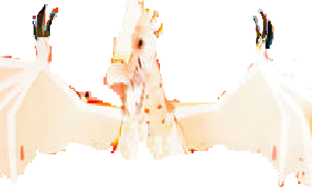 Plik:Nem.png