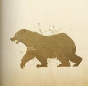 Polar Ice Bears
