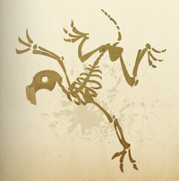 Boney creatures