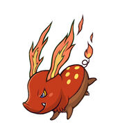 Salamander