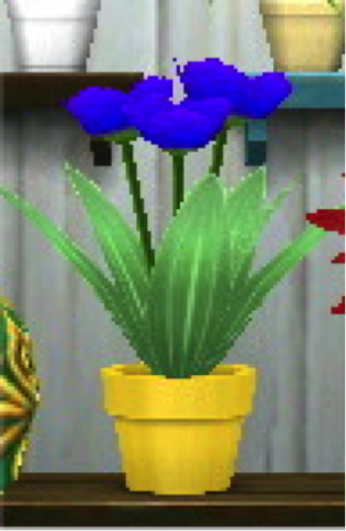 File:Sleeping Star.png