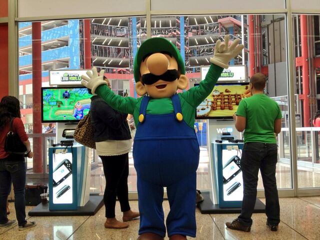 File:Luigi2013Chicago6.jpg