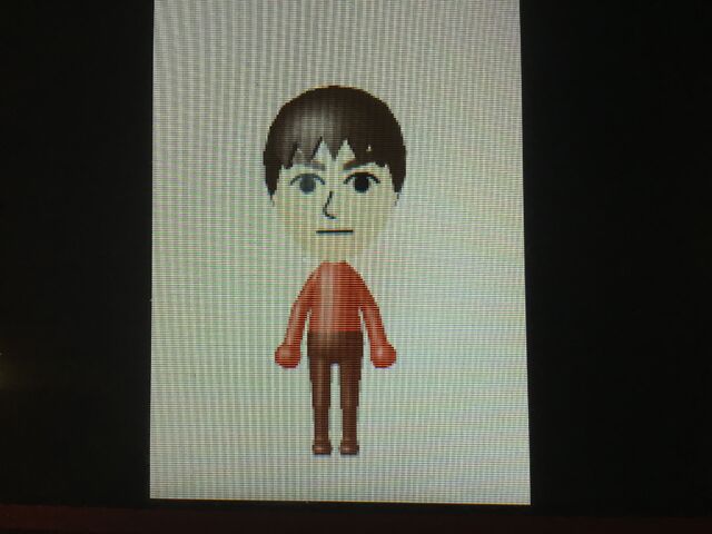 ファイル:Austin Mii.jpg