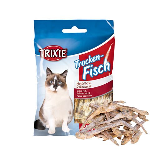 Nintendogs Cats Parson Russel Terrier Nintendogs Cats Parson Russel Terrier