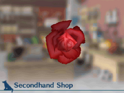 Pinkrose
