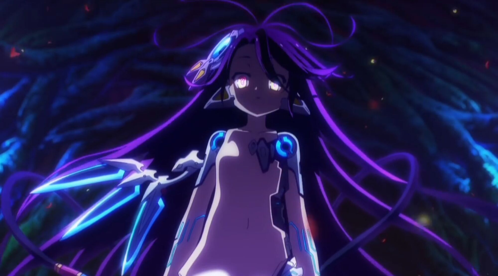 shuvi ngnl