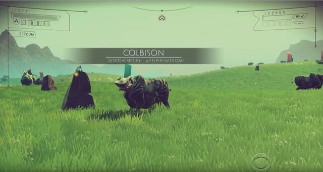 Файл:Loyk-Colbison.jpg