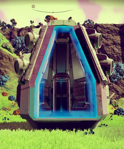 Capsula.jpg