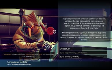 Gek gaz.jpg
