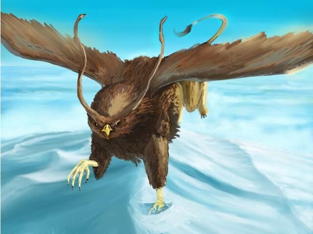 File:Owlhawk.jpg