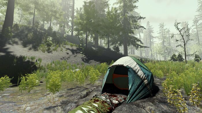 Forest No Hud