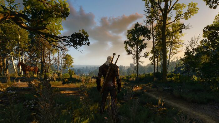 Witcher 3 No Hud