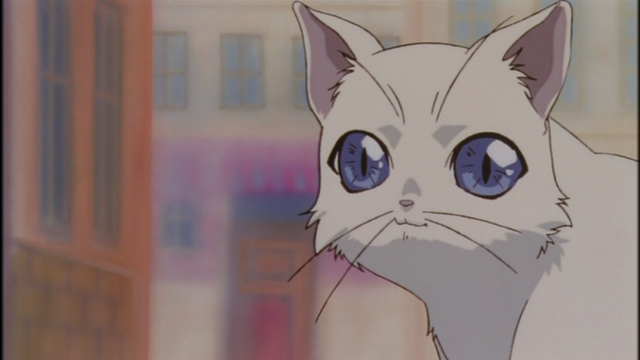 File:Myshkin.png