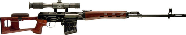 File:SVD Dragunov.jpg