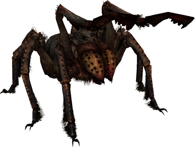 File:Frostbite Spider.png