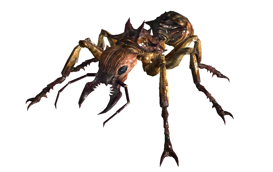 giant ant dnd giant ant dnd 5e Six0wllts