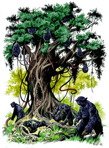 File:Orcwort.gif