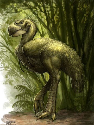 File:Brutornis.jpg
