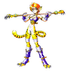 Katt