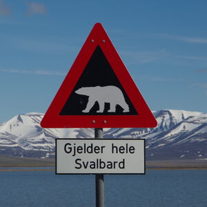 NO-spitzbergen-eisbaer-schild.jpg
