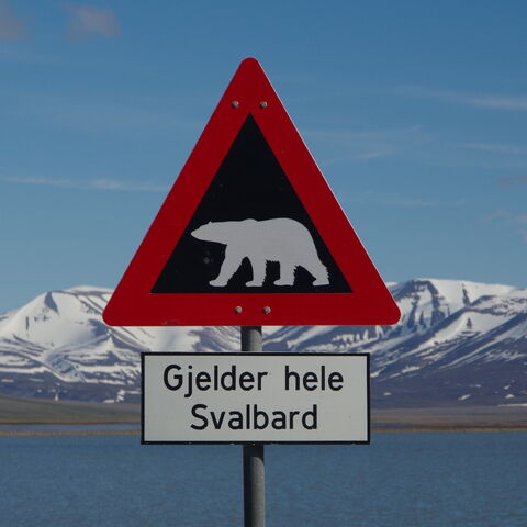 Plik:NO-spitzbergen-eisbaer-schild.jpg