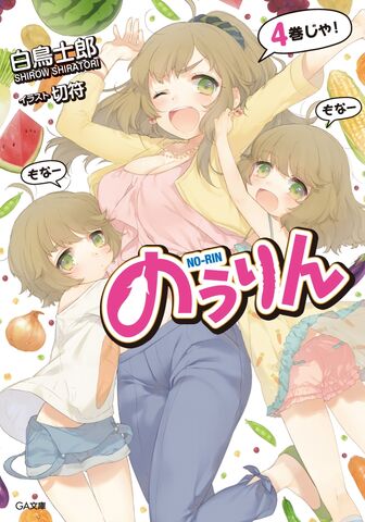 File:Novel 4.jpg