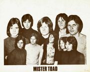 MISTER TOAD C