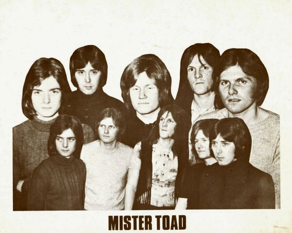 File:MISTER TOAD C.jpg