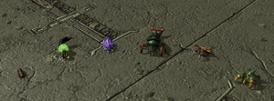 ParasiteVariants