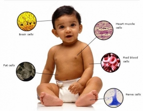 Genographic.jpg