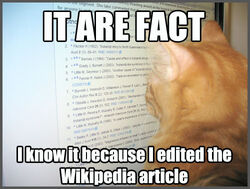 Wikipedia cat