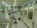 File:Labs.jpg