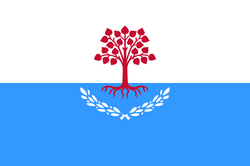 Flag of Laskive
