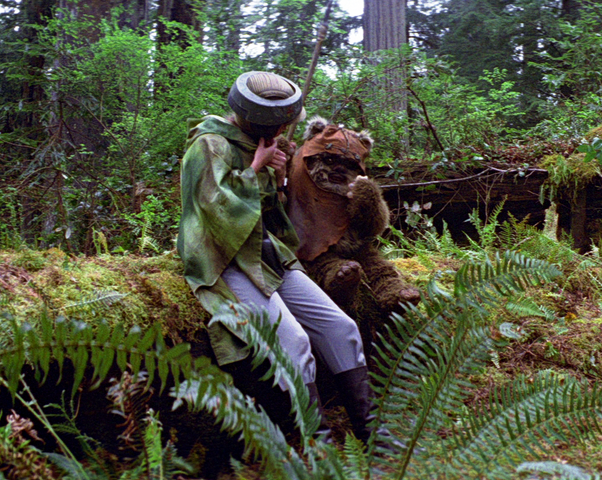 File:Leia Wicket.png