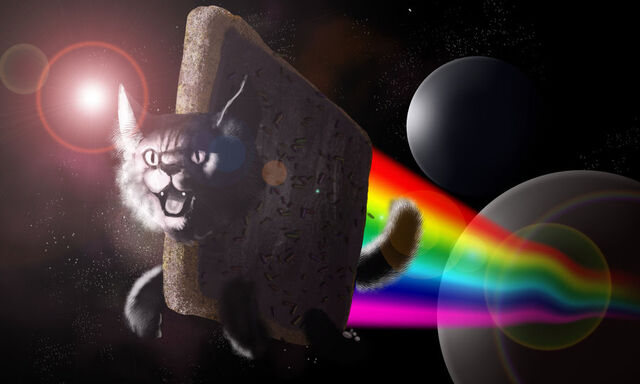 File:Nyan Cat 25.jpg