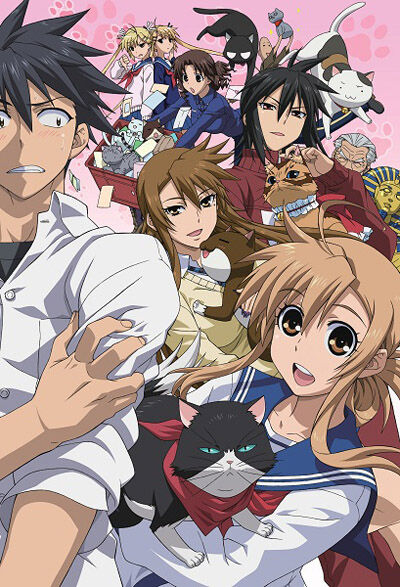 File:Nyankoi.jpg