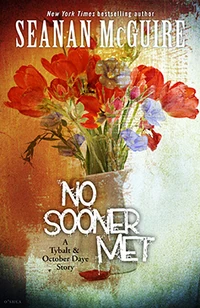 No sooner met cover 237x365