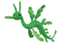 Leafy Sea Dragon