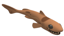 Dwarf Lanternshark
