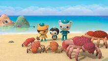 Images (18)
