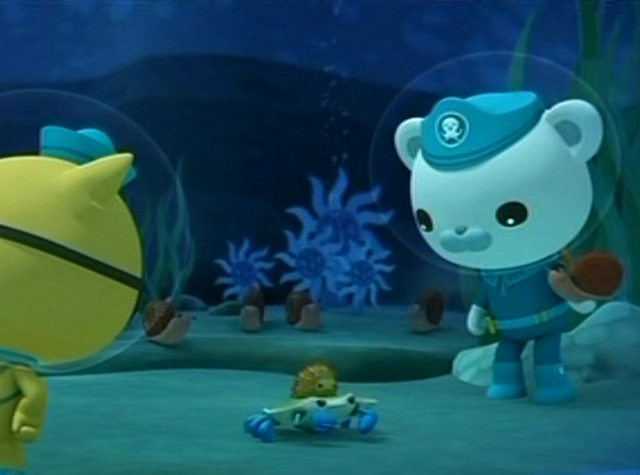 File:Crab and Sea Urchin.png
