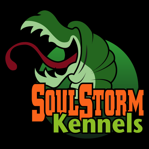 File:SoulStormKennels.png