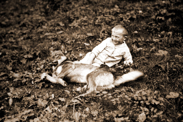 Datei:Hermann wehrs hund.jpg